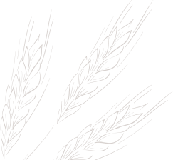bg_1-12-e1633582550136.png